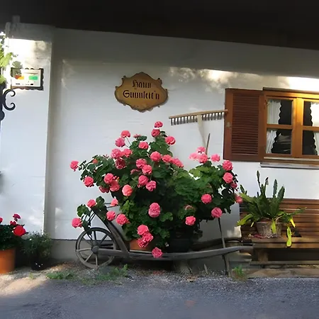 Διαμέρισμα Haus Sunnleitn Vogelsang *